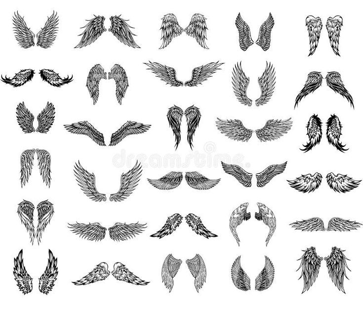 the wings of different shapes and sizes royalty illustration