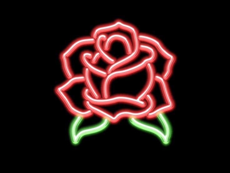 a neon rose flower on a black background