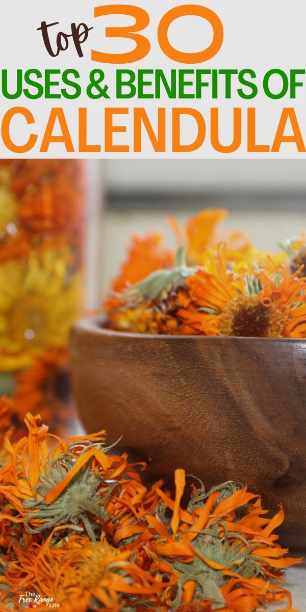 the top 30 uses and benefits of calendula