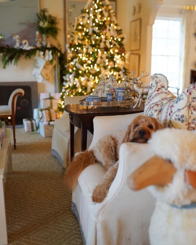 a dog is sitting on a chair in front of a christmas tree and other decorations