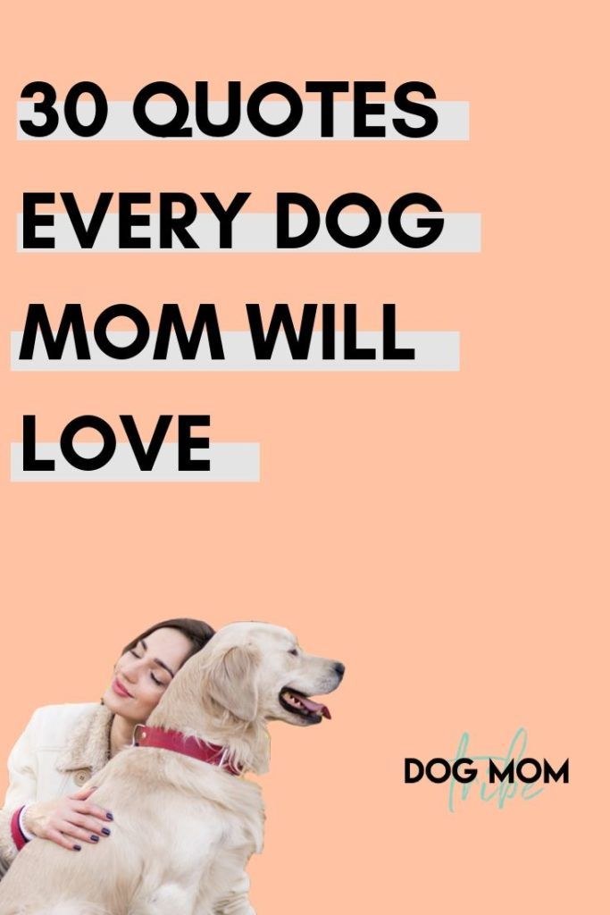 a woman hugging her dog with the caption 30 quotes every dog mom will love