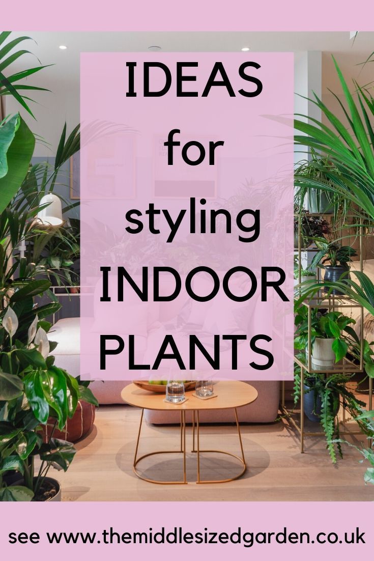 a living room filled with lots of plants and potted plants on top of a wooden table