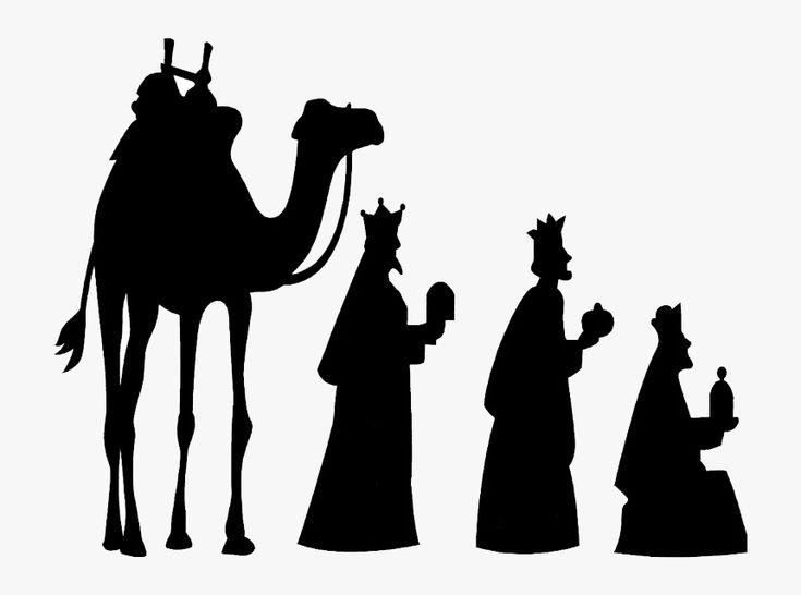 the silhouettes of three people and a camel