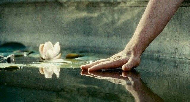 a person's hand reaching for a flower in the water