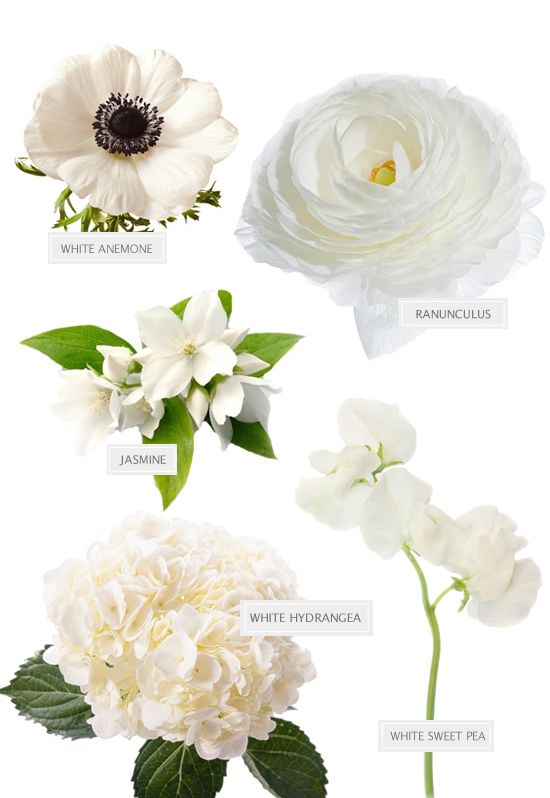 white flowers are arranged in different shapes and sizes, with the names on each flower