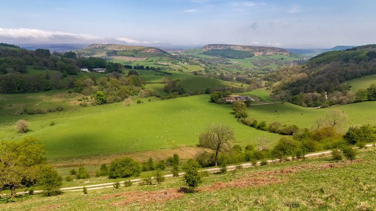 an aerial view of rolling green hills and trees