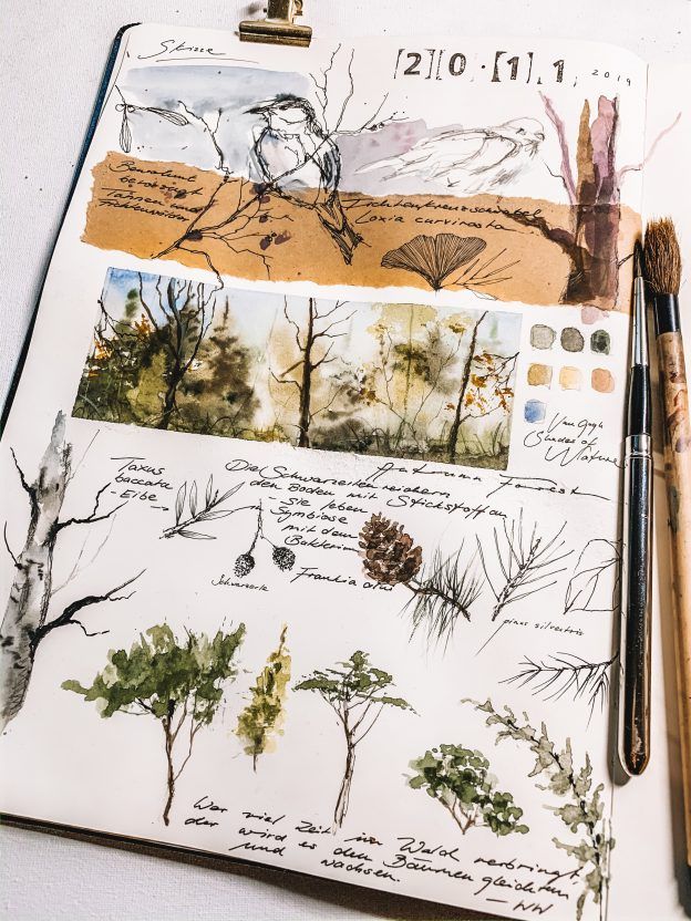 an artist's sketchbook with watercolors and pencils on the pages