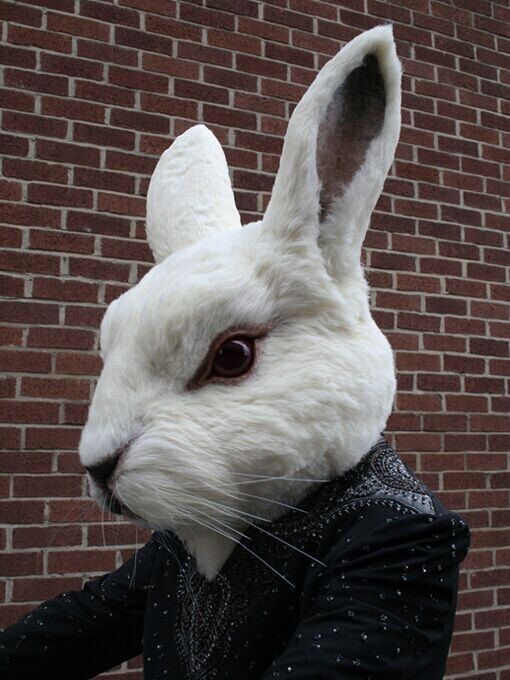 a white rabbit wearing a black suit and tie next to a brick wall in front of a building