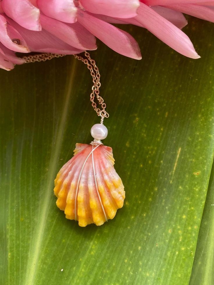 *This is the exact shell you will receive*  Check out all the other amazing shells I have in my shop! www.Etsy.com/shop/lauele  Follow us on instagram for giveaways! @lauelehawaii ▽ ▽ ▽ ▽ ▽ ▽ ▽ ▽ ▽ ▽ ▽ ▽ ▽ ▽ ▽ ▽ ▽ ▽ ▽ ▽ ▽ ▽ ▽ ▽ ▽ ▽ ▽ ▽ ▽ ▽ ▽ ▽ ▽ ▽ ▽ ▽ ▽ ▽ ▽ ▽ ▽ ▽ ▽ ▽ ▽ ▽ ▽ ▽ ▽ ▽ ▽ ▽ ▽ ▽ ▽ ▽ ▽ This shell: This is a smaller sized Hawaiian Sunrise Shell. The vibrant yellow and gold color of this sunrise shell, along with the ridges and shaping, truly do not get more stunning. The gold, yellow, pink and orange colors of this Hawaiian sunrise shell reflect the colors of the quintessential Hawaiian sunrise. This stunning shell is wrapped with a real freshwater pearl, and comes on a gold filled 18 inch chain. (If you'd like no pearl on the necklace, I can re-wrap it without. Please just add that Unique Mother Of Pearl Shell As Gift, Ocean-inspired Shell Necklace As Gift, Ocean-inspired Shell Necklace For Gift, Ocean-inspired Abalone Shell Decor, Handmade Mother Of Pearl Shell, Handmade Mother Of Pearl Shell Gift, Handmade Ocean-inspired Shell Gift, Wire Wrapped Shell Necklaces In Shell Shape, Wire Wrapped Shell Necklaces