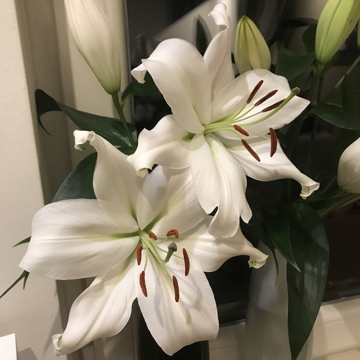 some white flowers are in a vase on a table