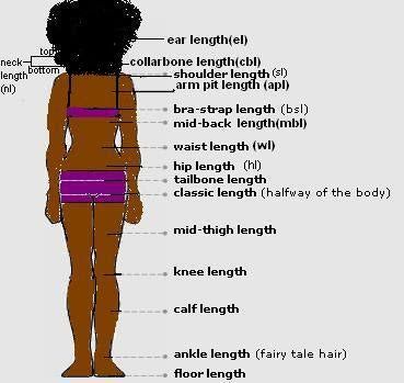 Hair Length Guide: How to Measure Your Natural Hair Length Hair Length Guide, Quotes Rainbow, Hair Growth Charts, Natural Hair Rules, Hair Length Chart, Fairy Hair, Black Hair Care, Natural Hair Inspiration, Natural Hair Tips