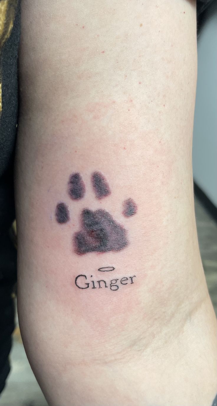 a dog paw with the word ginger tattooed on it's side ribcage