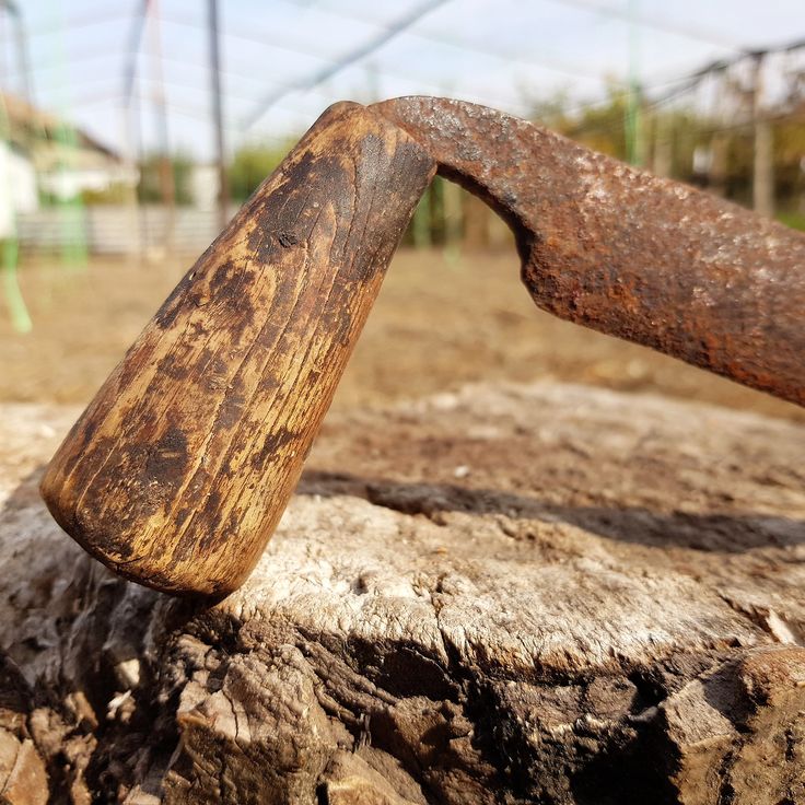 an old hammer stuck into a tree stump