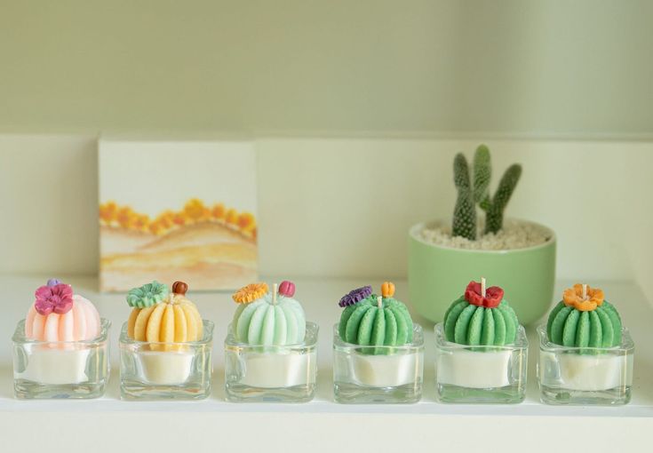 there are many small cactus decorations on the shelf next to each other in glass containers