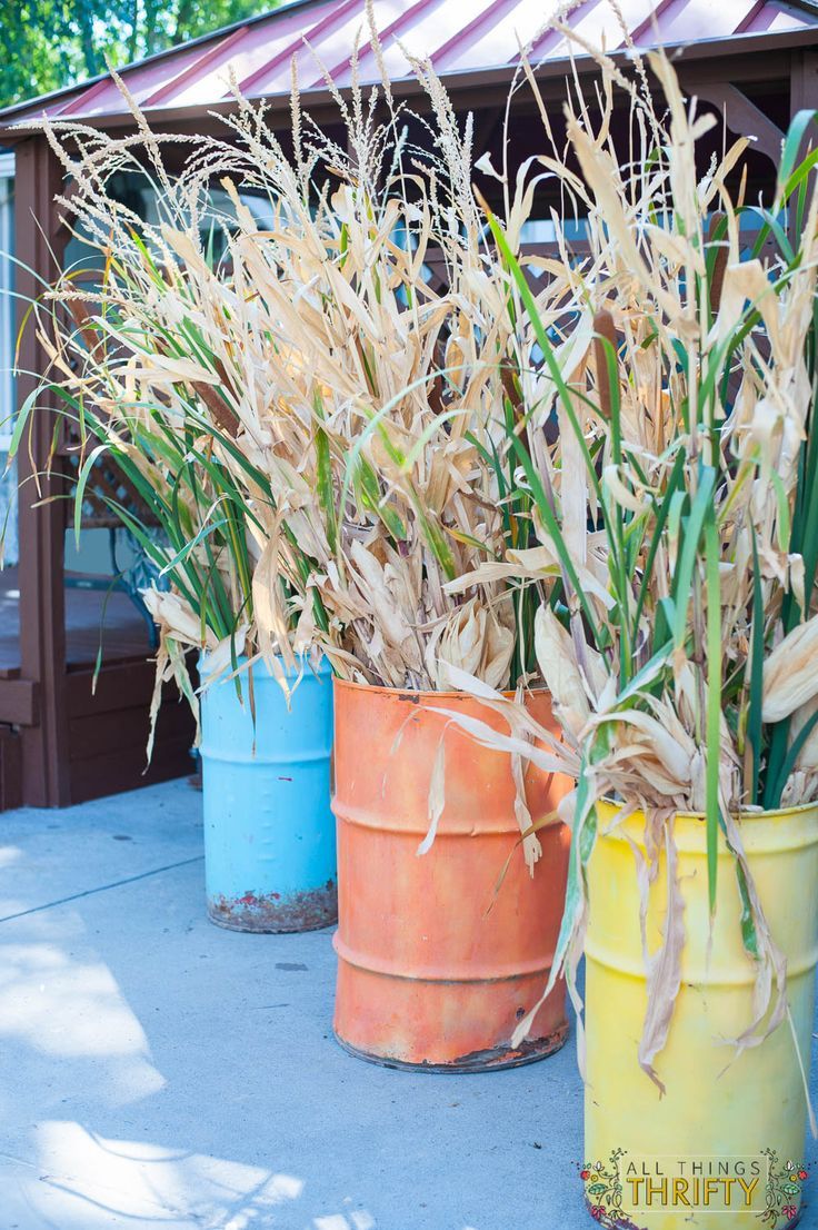 three buckets filled with corn sitting on top of a cement ground next to a building