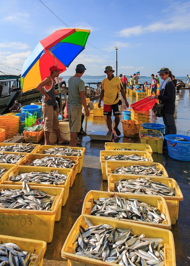 several people standing around boxes with fish on them and one person holding an umbrella over their head