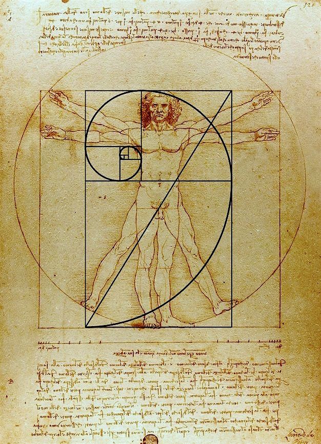 an old book with a drawing of a man's body and the golden rectangle