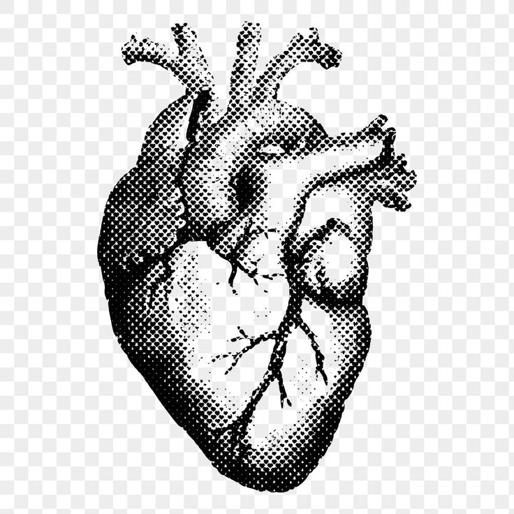 a black and white drawing of a heart on a transparent background, with no background