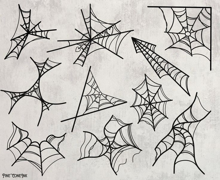 spider webs are drawn in black and white