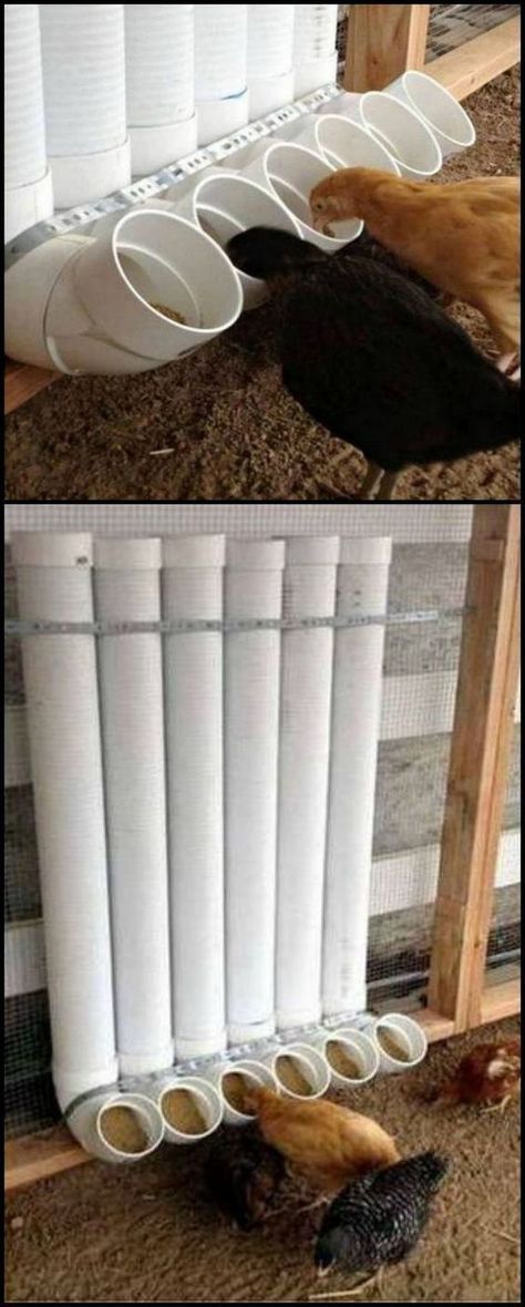 two pictures of chickens eating out of bowls on the ground and in front of a chicken coop