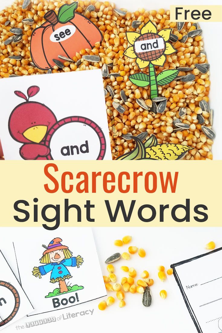 scarecrow sight words with corn and pumpkins in the background text overlay says scarecrow sight words