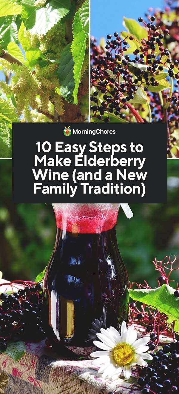 a bottle of wine sitting on top of a wooden table next to berries and leaves