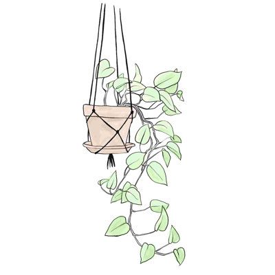 a potted plant hanging from a wire with some green leaves on the top and bottom