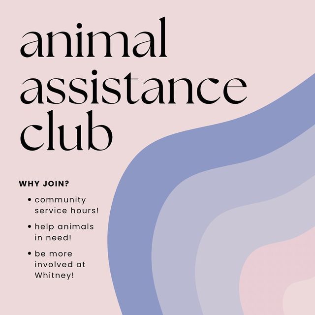 an animal assistance club poster with the words, why join?