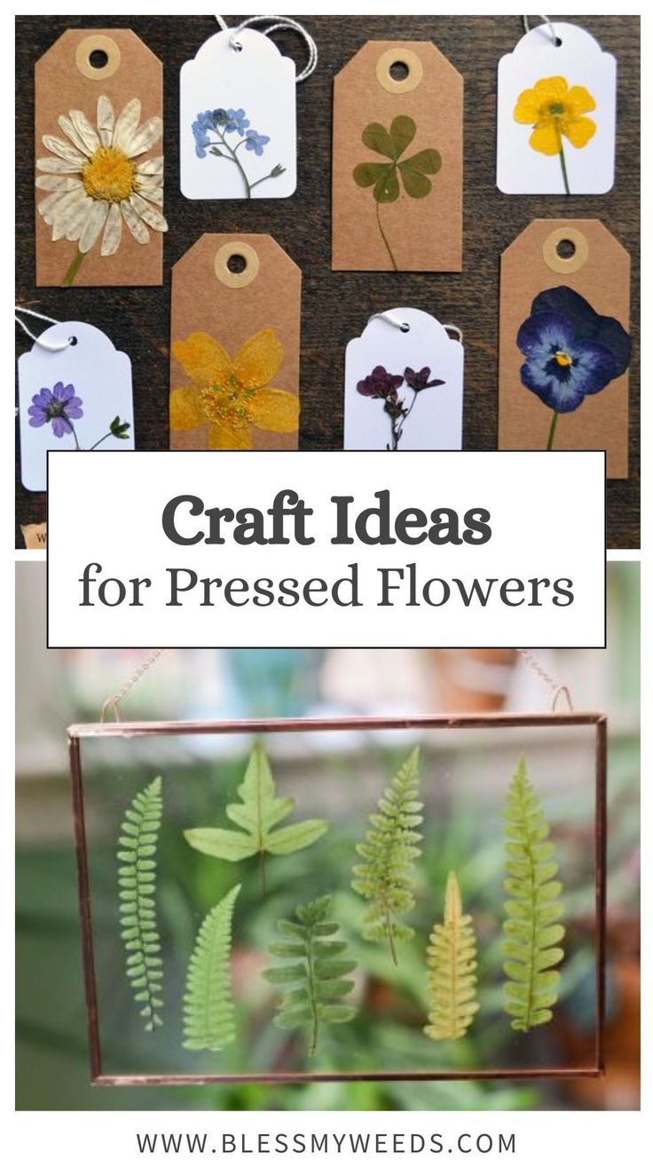 some flowers and tags hanging from the side of a wooden board with text overlay that reads craft ideas for pressed flowers