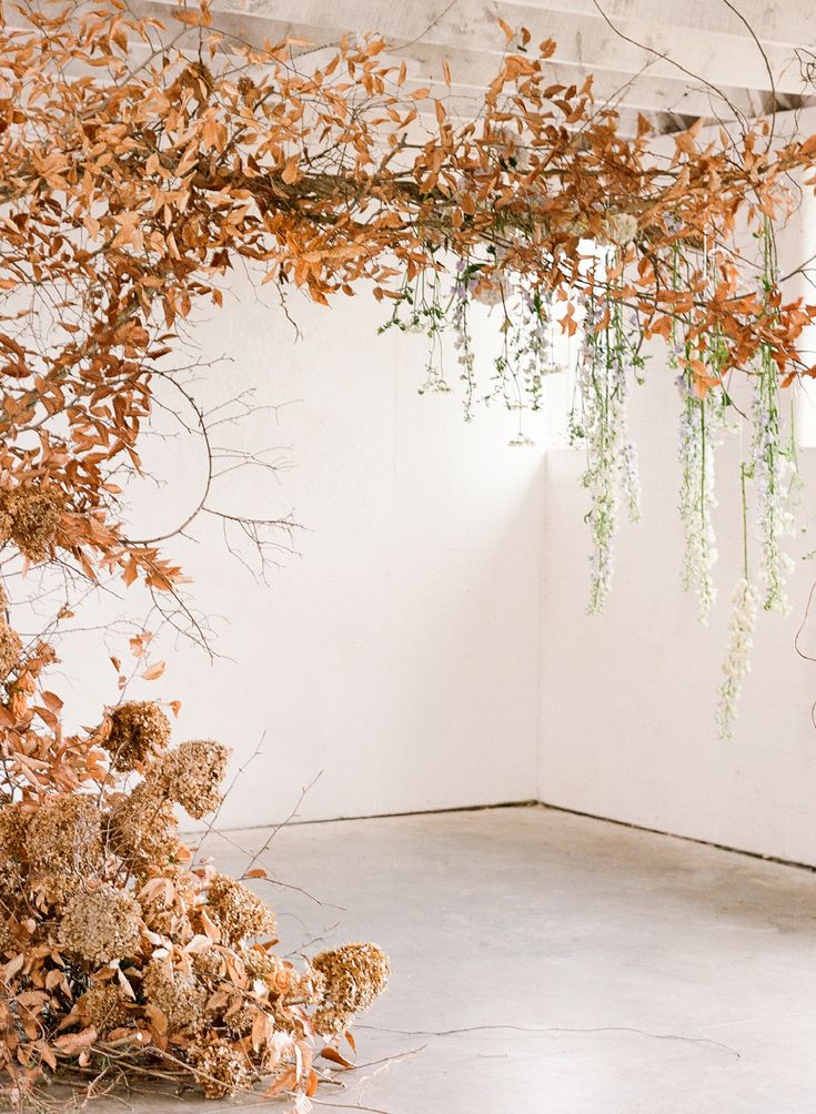 an arrangement of dried flowers and plants in a white walled room with concrete flooring