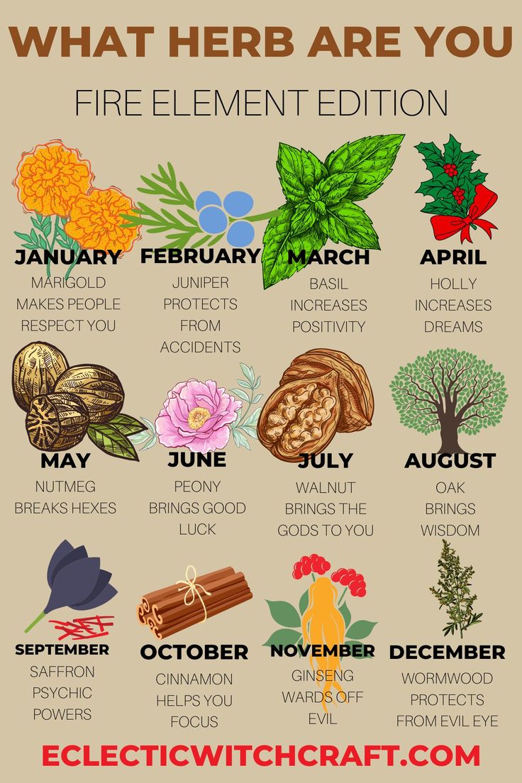 an image of what herbs are you