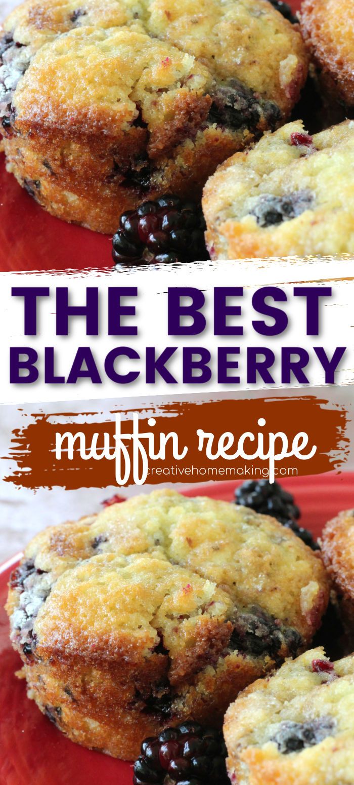 blueberry muffins on a red plate with the words, the best blackberry muffin recipe