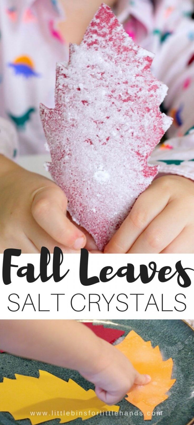 kids are playing with fall leaves and salt crystals for arts and crafts that they're making