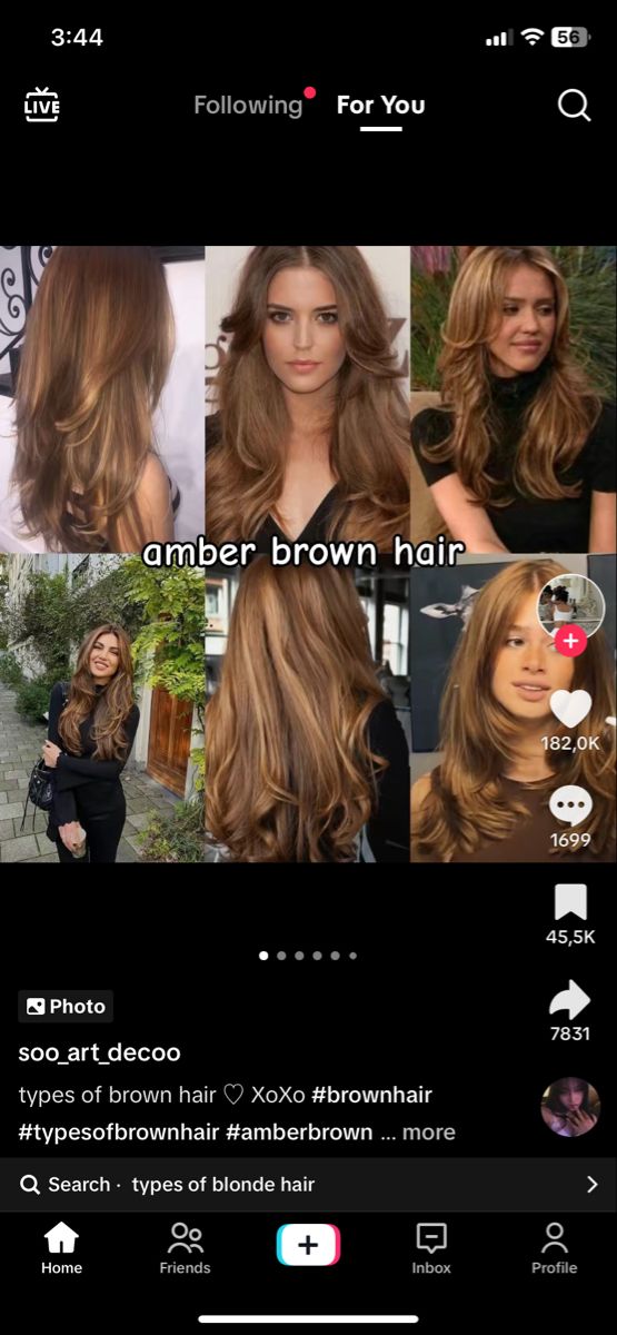 Jessica Alba Blonde Hair, Amber Brown Hair, Types Of Brown Hair, Jessica Alba Hair, Light Brunette Hair, Haircut Inspo, Golden Brown Hair, Latest Hair Color, Chocolate Hair