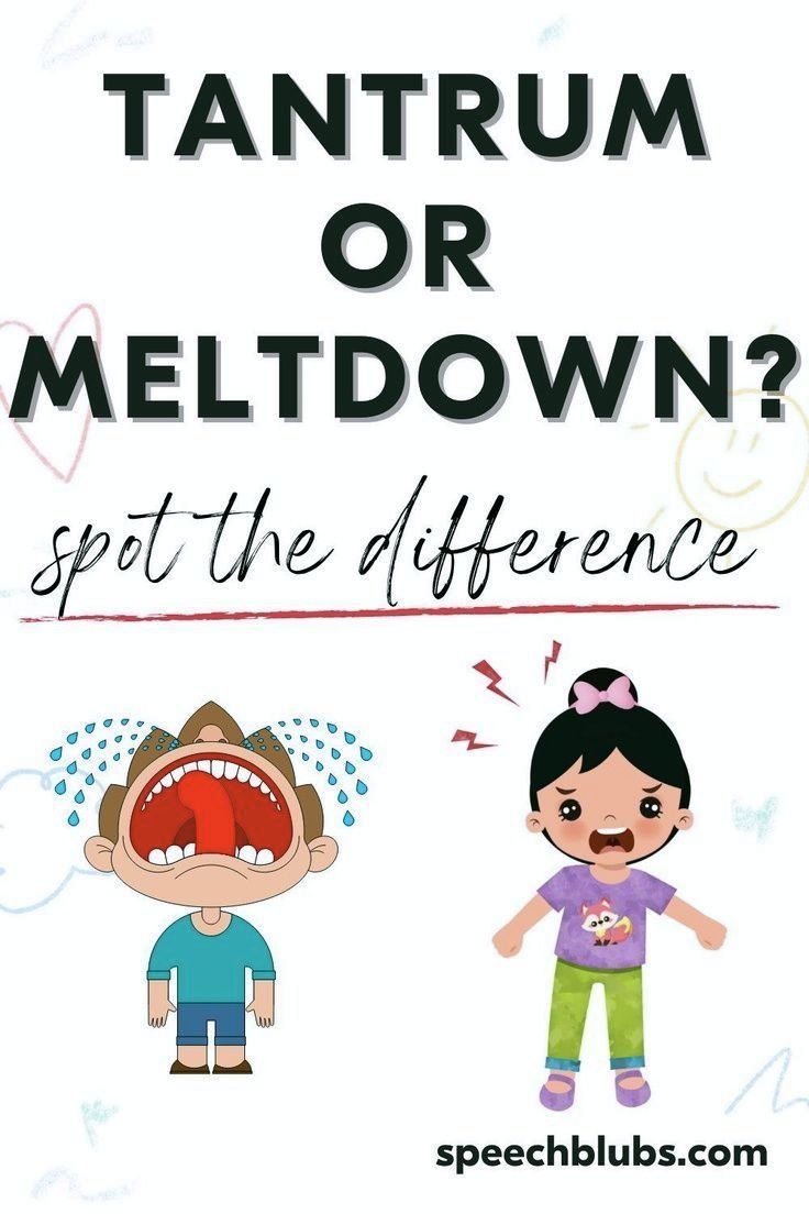 the words tantrum or meltdown? and an image of two children with their mouths open