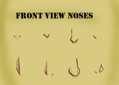 the words front view noses are written in black on a yellow background with birds flying around