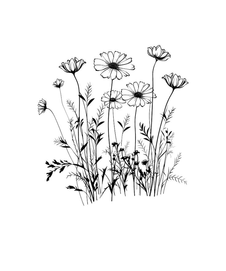 black and white drawing of flowers on a white background