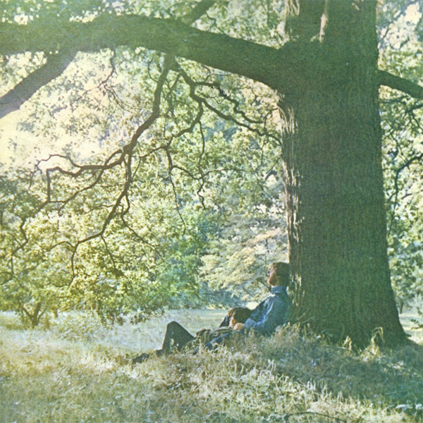 a man sitting under a large tree in the shade