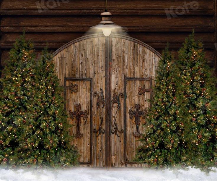 a painting of an open door with christmas trees around it