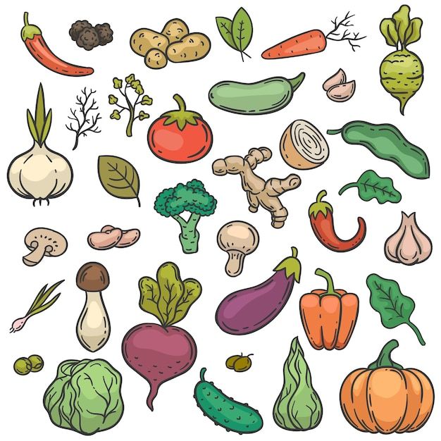 a bunch of different vegetables on a white background