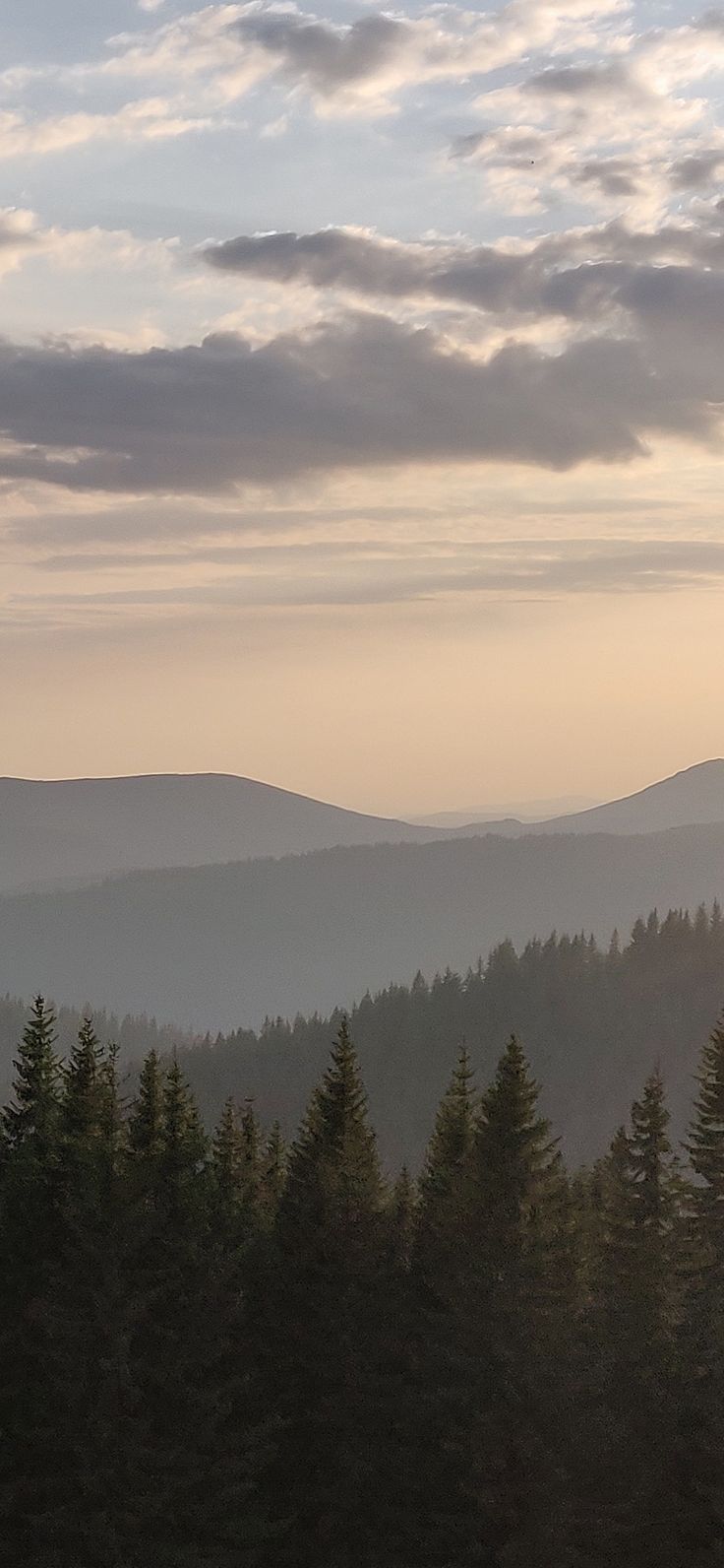 the sun is setting over some trees in the distance, with mountains in the background