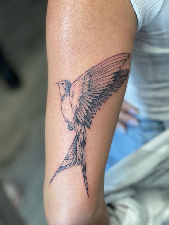 Scissor Tail FlyCatcher Oklahoma Themed Tattoo, Oklahoma Tattoo Ideas For Women, Oklahoma Tattoo Ideas, Scissor Tailed Flycatcher, Oklahoma Tattoo, Fandom Tattoos, Medium Tattoos, Typography Tattoo, Perfect Tattoo