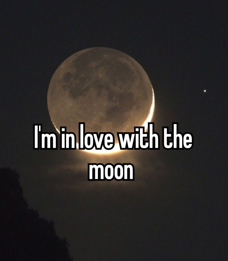 i'm in love with the moon