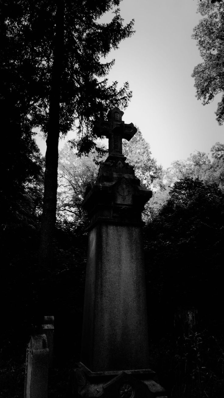 a black and white photo of a grave in the middle of a forest with tall trees