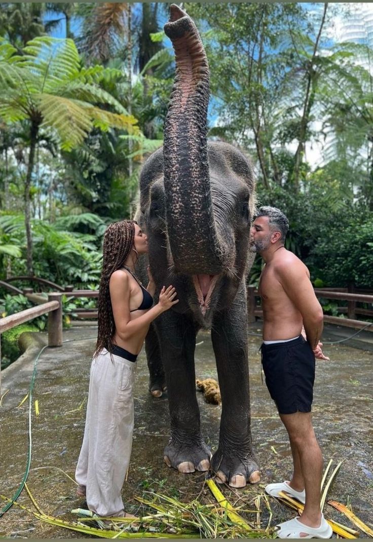 two people standing next to an elephant with it's trunk in the air and its mouth open