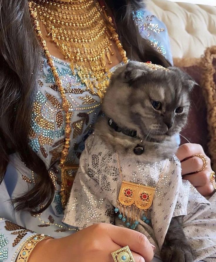 a woman holding a gray cat wearing a white shirt and gold jewelry on it's neck