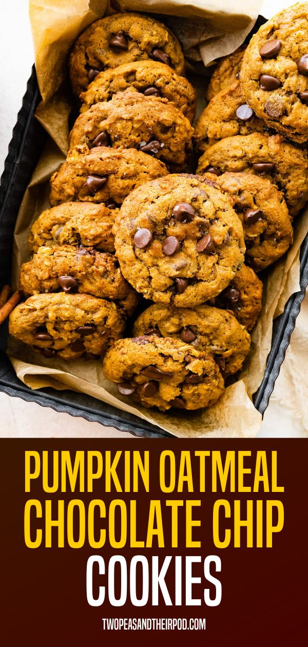 Soft and chewy oatmeal cookies with lots of pumpkin flavor and chocolate chips! The perfect fall cookie! Pumpkin Oatmeal Cookies Easy, Oatmeal Chocolate Cookies, Pumpkin Oatmeal Chocolate Chip, Pumpkin Oatmeal Chocolate Chip Cookies, Pumpkin Cookies Healthy, Chewy Oatmeal Cookies, Thanksgiving Meals, Pumpkin Oatmeal Cookies, Pumpkin Cookie Recipe