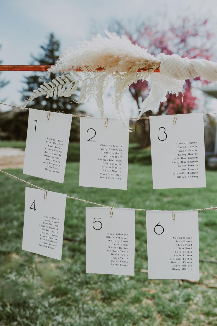 wedding seating plan hanging on a line in the grass with feathers attached to it's strings