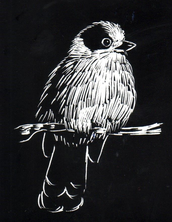 a black and white drawing of a bird on a branch