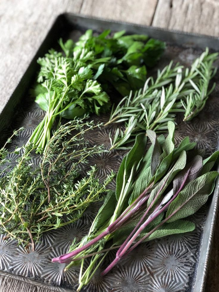 fresh herbs laid out on a metal tray